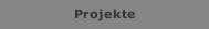 Projekte